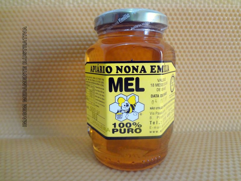 Mel de Laranjeira - 500g